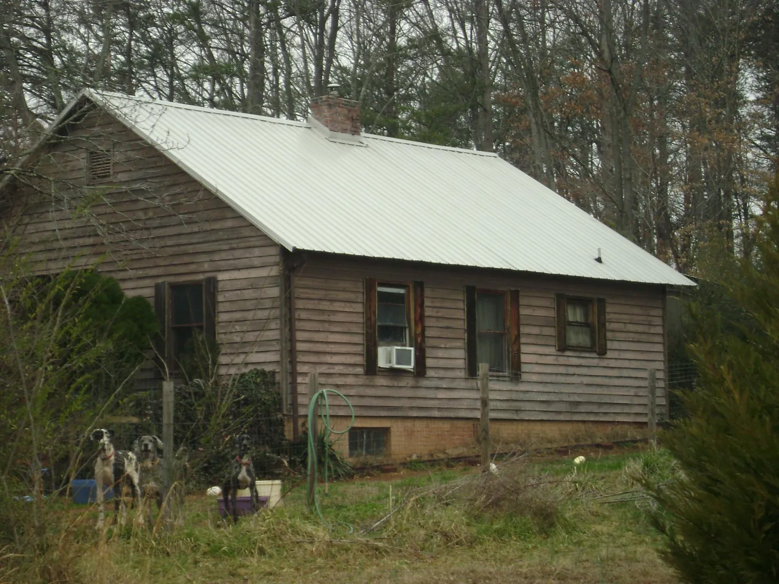 White metal roof on an old wood sided farmhouse, from a Asphalt Shingle Roof Repair job in Curtice